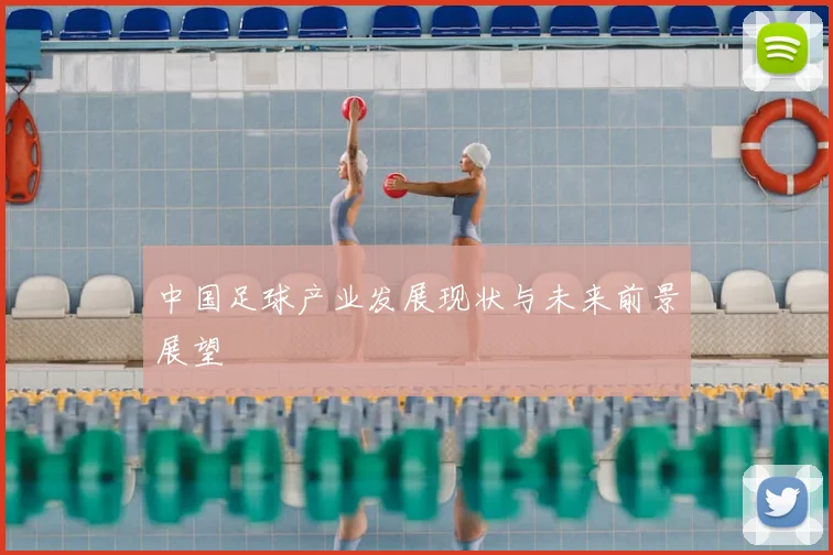 中国足球产业发展现状与未来前景展望