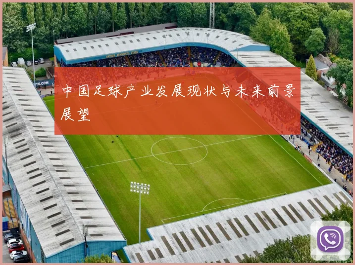 中国足球产业发展现状与未来前景展望
